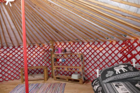 Alder Yurt Wych Elm Glamping, Helston